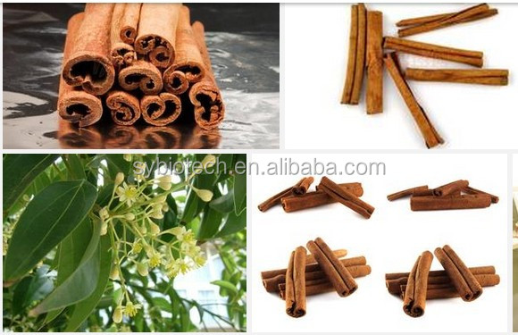 cinnamomum cassia presl p.e., 100% Pure Cinnamon bark extract, Cortex Cinnamomi Extract, Cassia Bark extract
