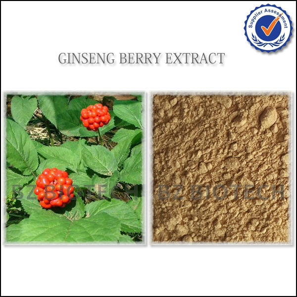 100% PURE GINSENG ROOT EXTRACT POWDER ENERGY BOOSTER,HERB MEDICINE GINSENG ROOT EXTRACT POWDER
