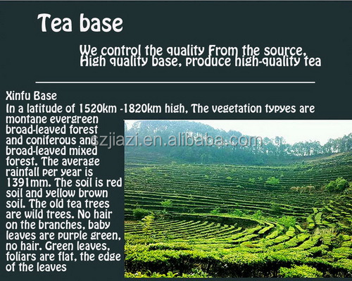 tea brands name puerhkiss raw puer tea