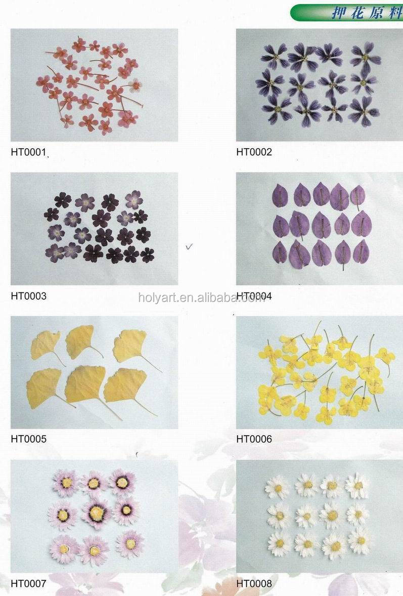 catalogue.jpg