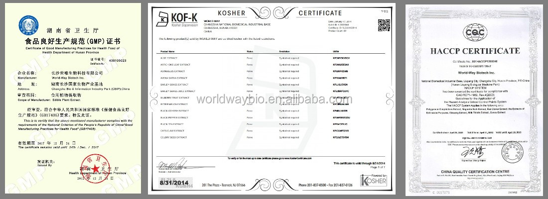 10-40% Cocoa Polyphenols/ Cocoa Theobromine / Cocoa Bean Extract-World-way Manufacturer Supplier