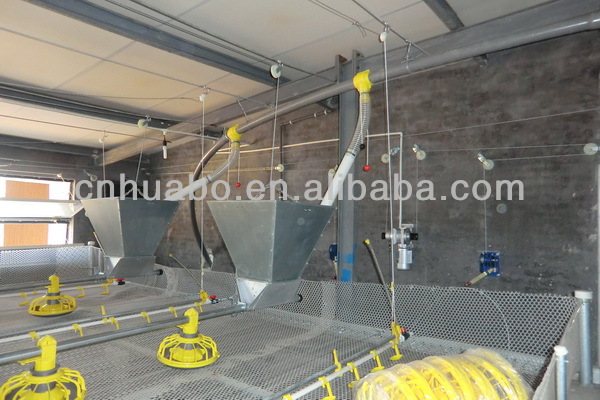 Huabo automatic chicken feeding system for brolier house