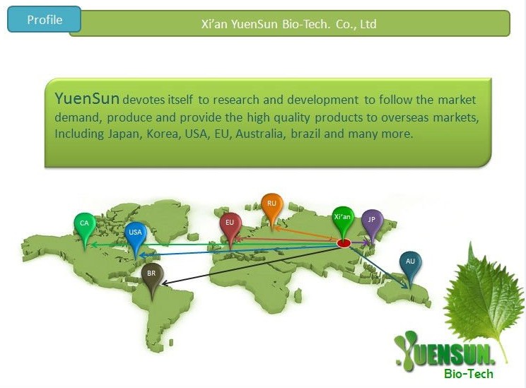 GMP&FDA Factory Solvent Extraction Aloe Vera Extract,Solvent Extraction Aloe Vera Extract