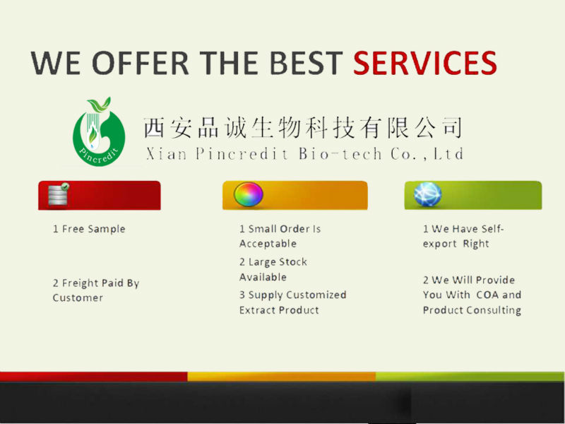 Organic Apple Powder/Instant Apple Tea Powder/Apple Powder