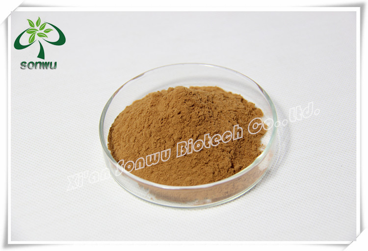 High Quality Cinnamon bark extract/cinnamaldehyde/eugenol