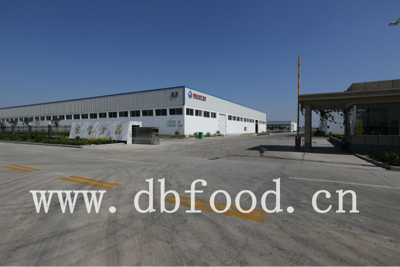 New crop dehydrated garlic powder 100-120 mesh ,good quality from our factory