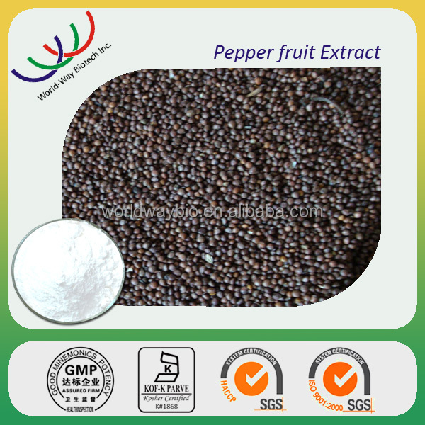 Food grade free sample made in China HACCP KOSHER GMP factory supply 10% piperine black pepper extract