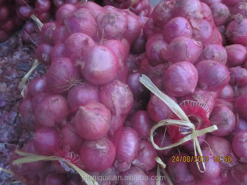 Chinese fresh onion with varity size,packing,price!! Hot sale !!!