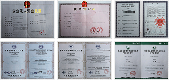 First-class ISO HACCP KOSHER dehydrated vegetables green bell pepper flake