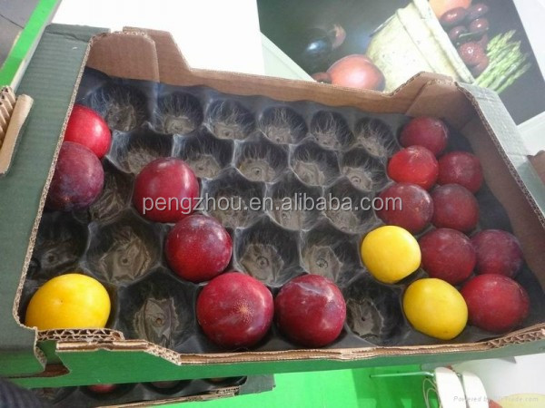fruit Nested Plastic Tray
