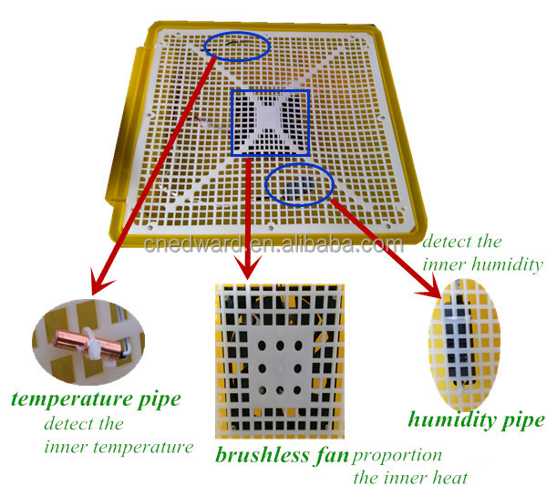 Best Seller High Quality Egg Incubation Machine/48 Eggs Incubator 