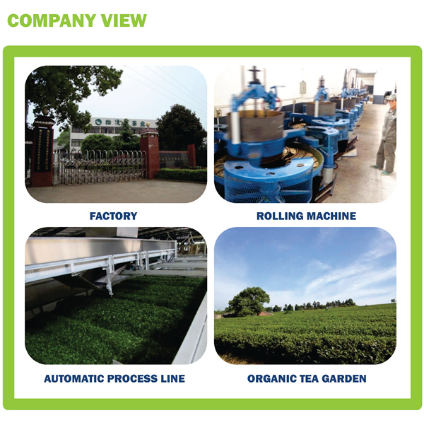 COMPANY VIEW_1