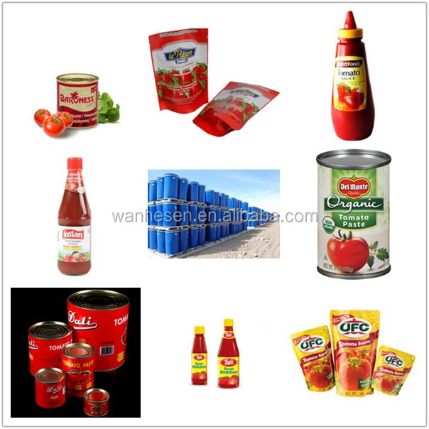 Xinjiang Origin tomato paste plant tomato paste