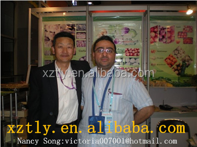 2014 New Fresh potatoes exporters