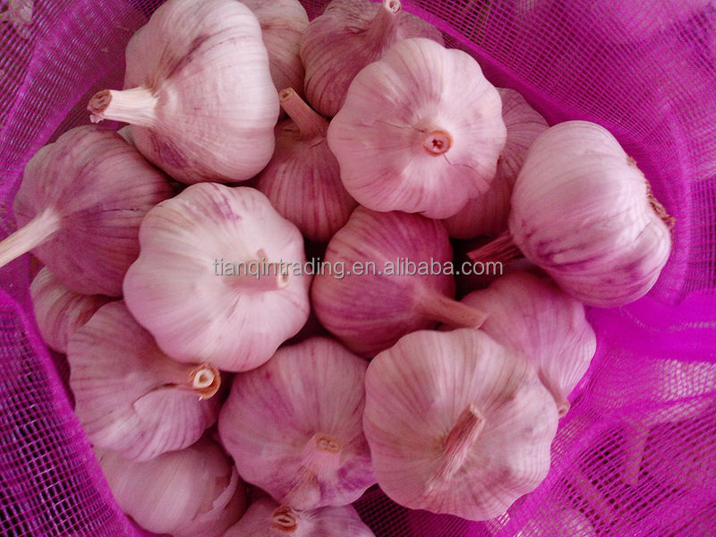 2014 Cold Storage Fresh Red Garlic , New Price!!!