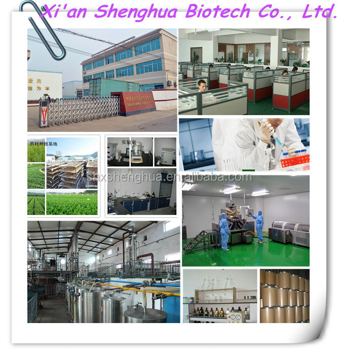2014 GMP factory organic grape seed extract volcanic powder