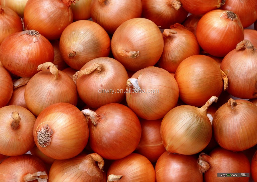 2014 FRESH YELLOW ONIONS FOR DUBAI
