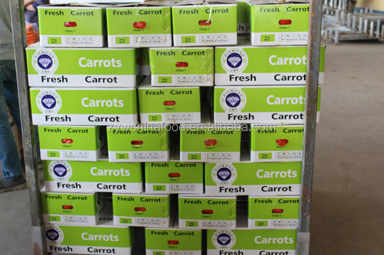 2014 New Crop Red Skin Fresh Carrots Price for Export from China