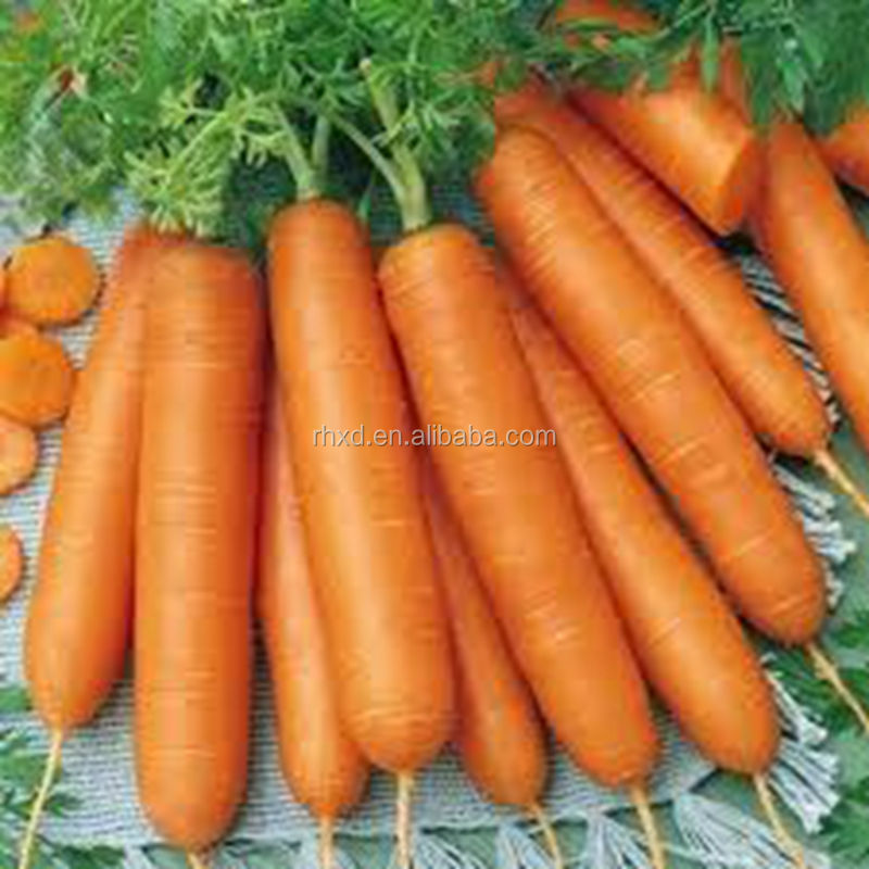 2014 New Crop bulk carrot