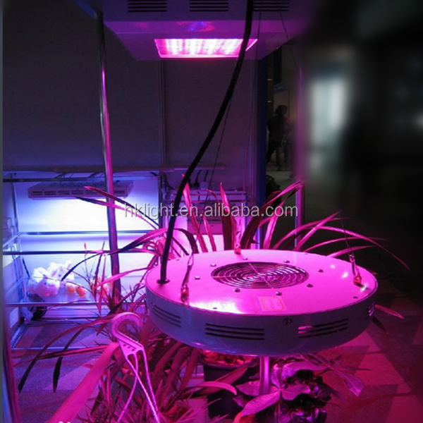 photo for grow lighting