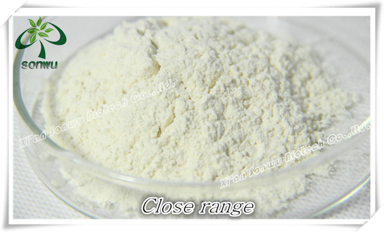 polygonum cuspidatum extract resveratrol bulk powder