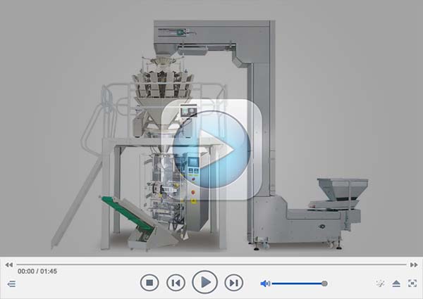 CB-VP42II automatic chocolate bar packing machine