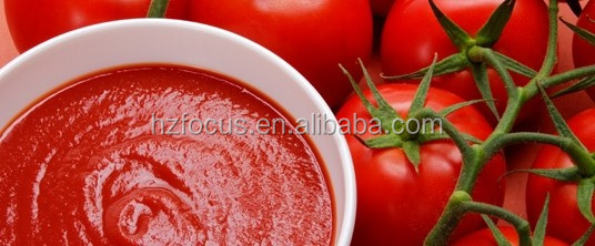 Tomato Paste & ketchup & tomato sauce&Bulk&Bag&Tin