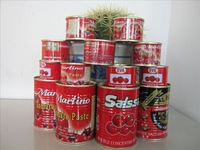 tomato ketchup specification