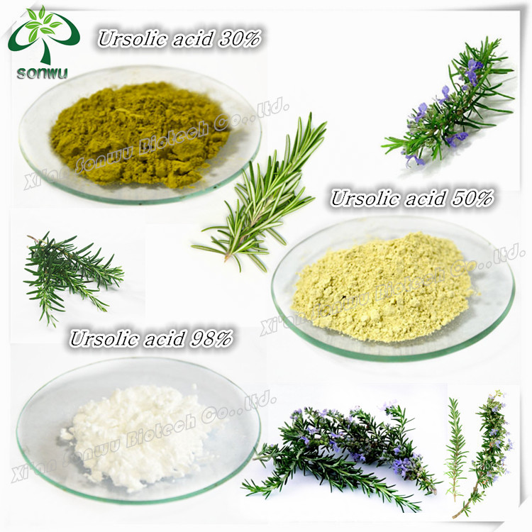 rosemary extract rosmarinic acid carnosic acid ursolic acid