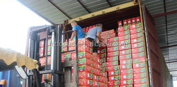 tomato paste in drum