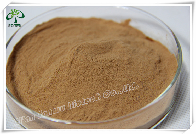cassia seed extract/cassia tora seeds