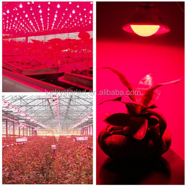 LED植物育成電球 口金E26 室内での植物や野菜の育成に 電球型問屋・仕入れ・卸・卸売り