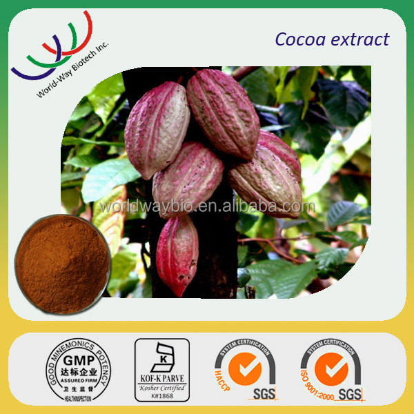 free sample for trial Certified China manufacturer R&D pure nature 10% cocoa extract catechin