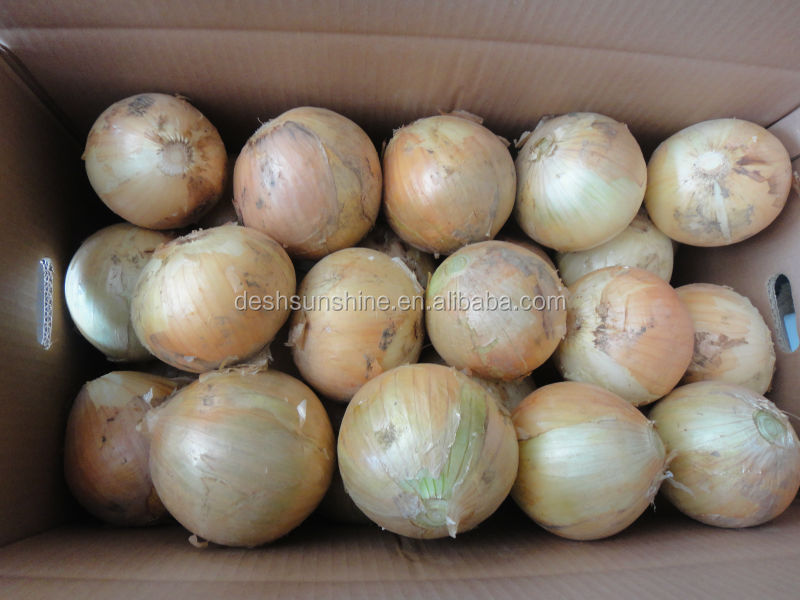 Export New Crop Red Onion