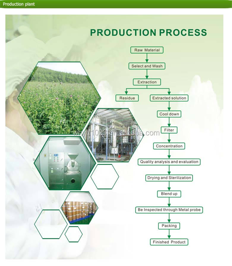 Green Tea Extract Powder, Green Tea Polyphenol