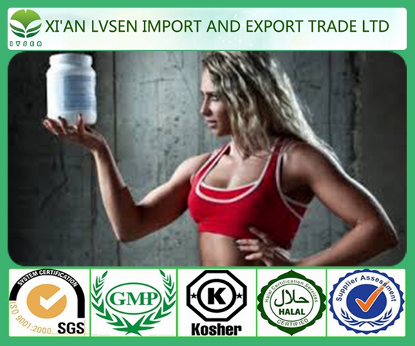 Hot Selling Optimum Nutrition Whey Protein Powder