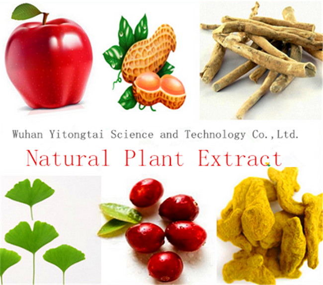 Low Price China Wholesale Organic Sweetener Powder Stevia