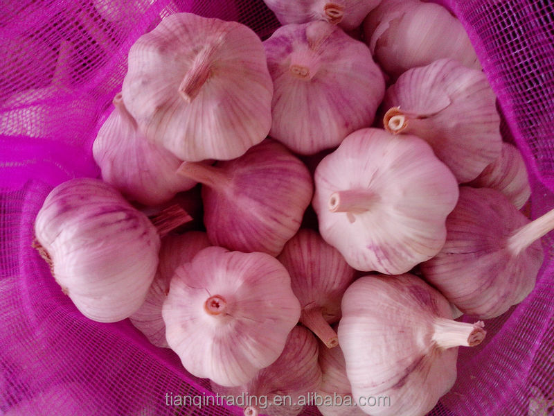 Grade A Garlic Price in Jinxiang Market