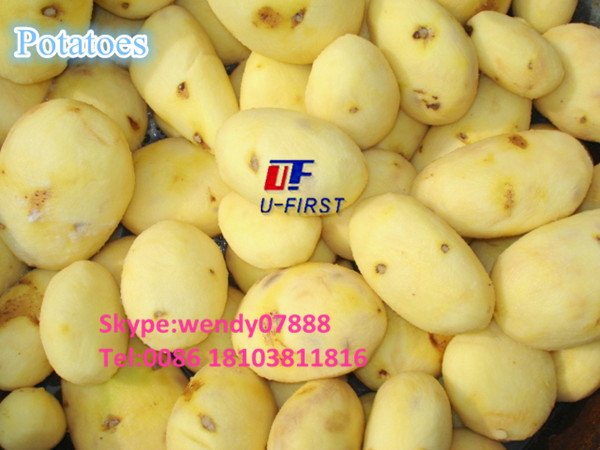 Factory price double brush type vegetable and fruit washing machine