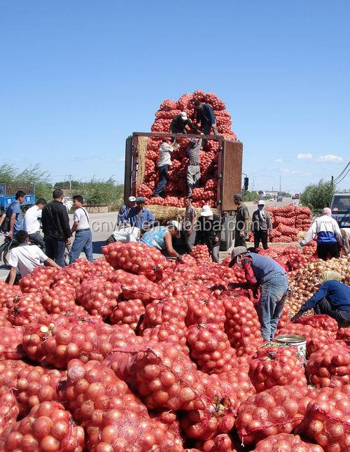 2014 CHINESE FRESH ONION FOR EXPORT