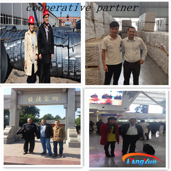 cooperative partner.jpg