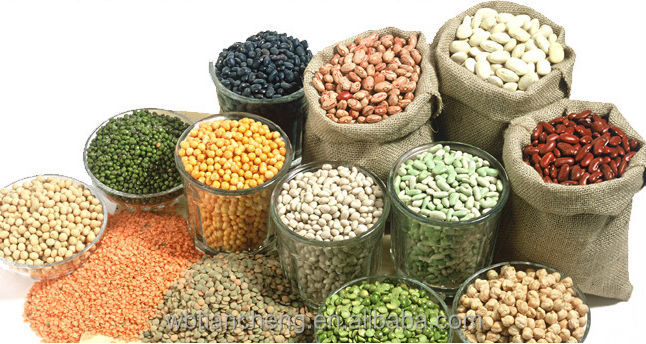 Poultry Feed Yellow Corn Maize Low Prices (WBTC0101)