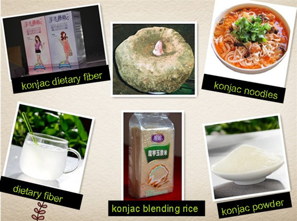 100% natural chinese konjac knots konnyaku noodles for hot sale