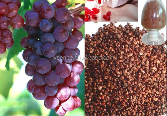100% nature and polyphenols grape seed grape seed extract grape seed extract powder