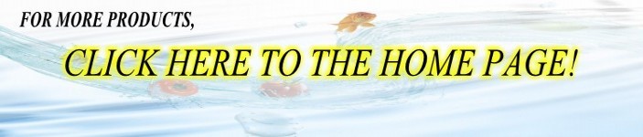 High Quality all types of sardine fishes