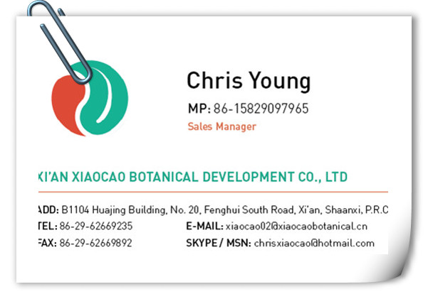 High quality goji berry extract/wolfberry(goji) extract