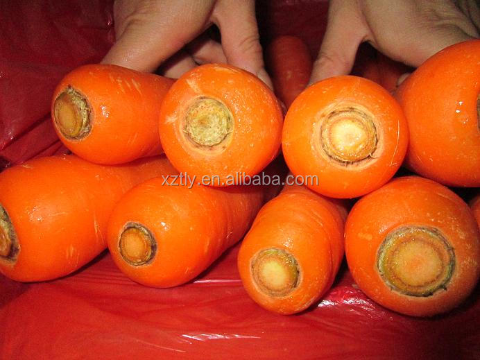 2014 fresh carrot with good quality
