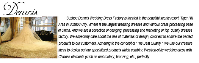 卸売alibabaのアイボリーのレースビーズの結晶スパゲッティストラップの母の花嫁のイブニングドレスアジア2014年zyc1892問屋・仕入れ・卸・卸売り