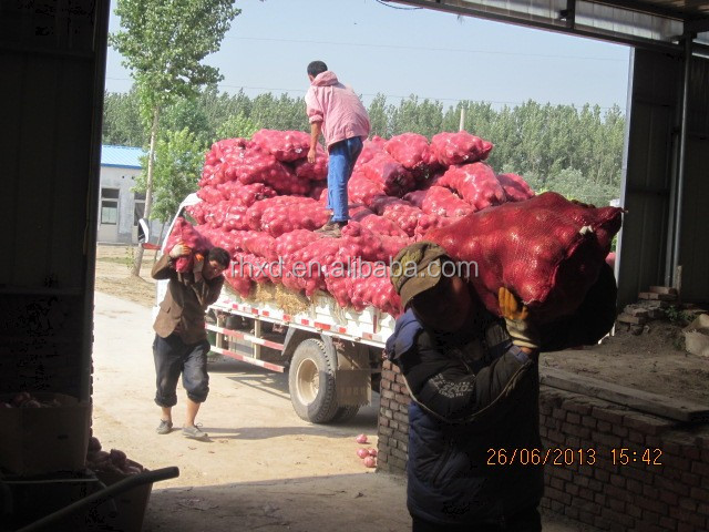 2014 new crop fresh onion with good price