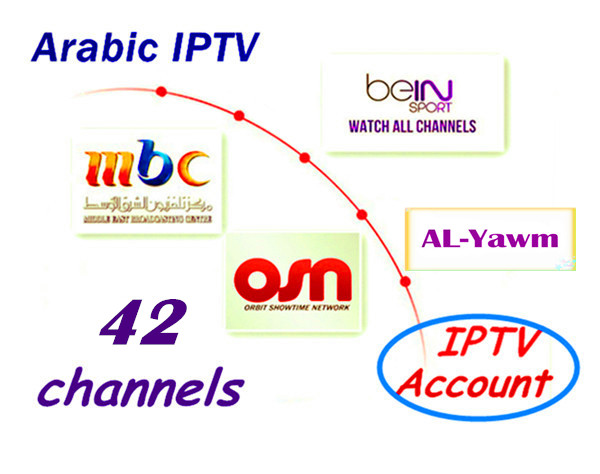 Iptvアラビア語チャンネル2014年dvb-s2cccamiptvアンドロイドosniksdvb-s2cccamレシーバーcccamサーバ問屋・仕入れ・卸・卸売り
